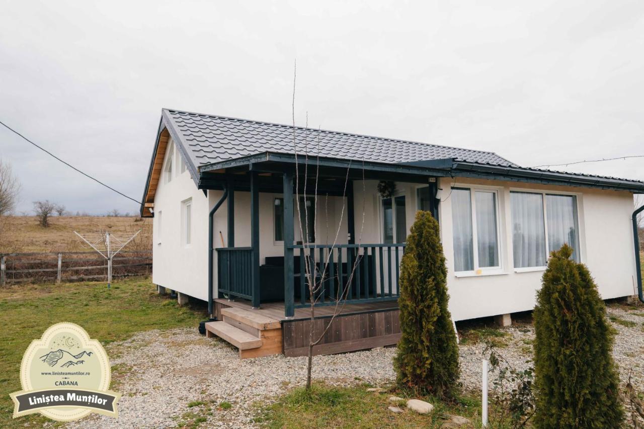 Linistea Muntilor Chalet Porumbacu de Sus Exteriér fotografie