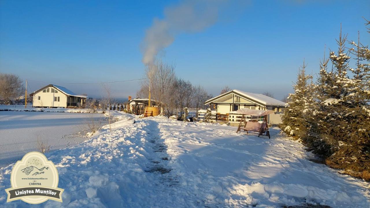 Linistea Muntilor Chalet Porumbacu de Sus Exteriér fotografie