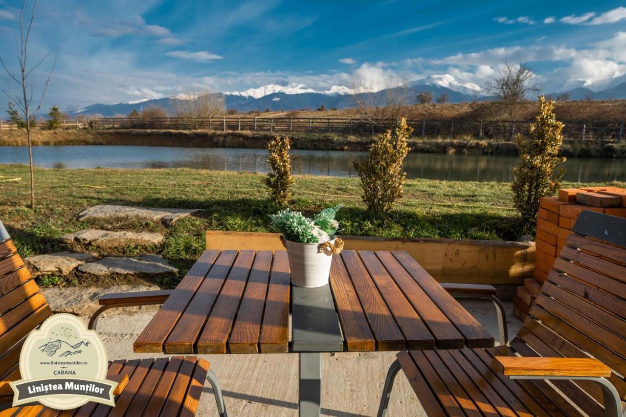 Linistea Muntilor Chalet Porumbacu de Sus Exteriér fotografie