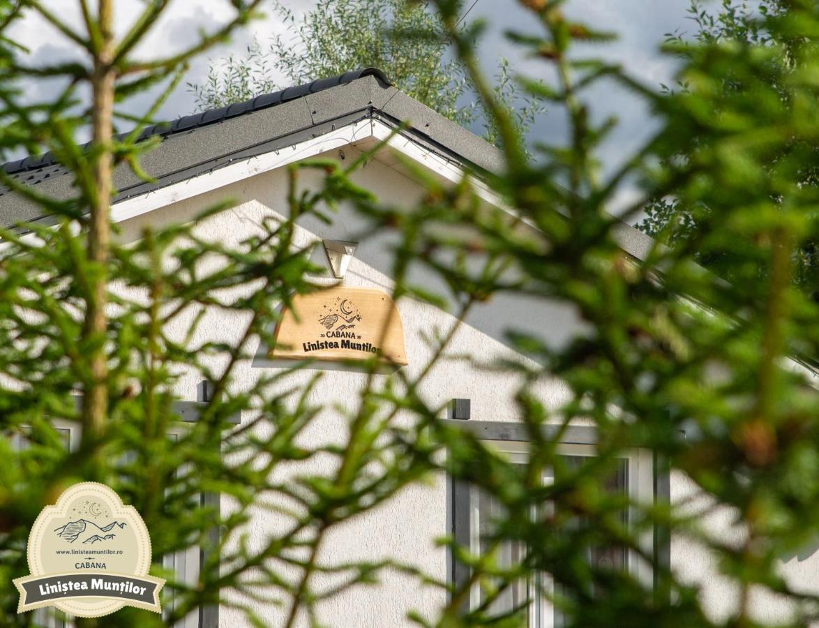 Linistea Muntilor Chalet Porumbacu de Sus Exteriér fotografie
